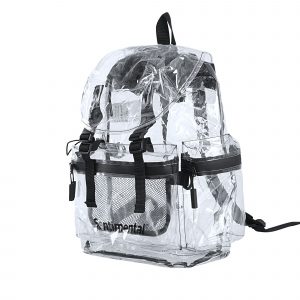 Clear-bag-2