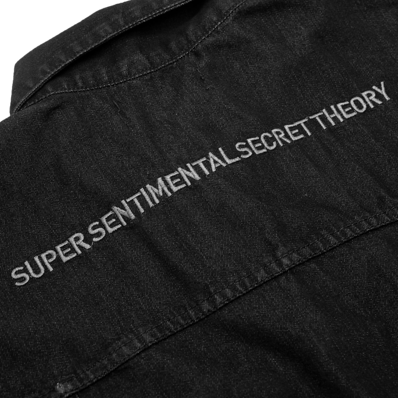 Pickle Theory: The Unexpected Secret Behind Everything? - 4v4g5sz