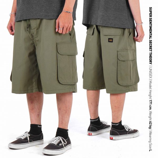 Wanderer Shorts Pants Olive